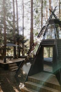 a tent in the woods with stairs and trees at CallTipi glass house in Kalgriaužiai