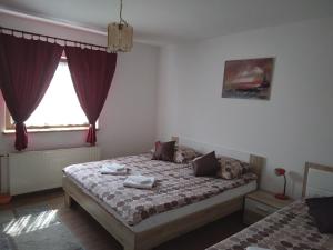 een slaapkamer met een bed en een raam bij Apartment Gabi in Smoljanac