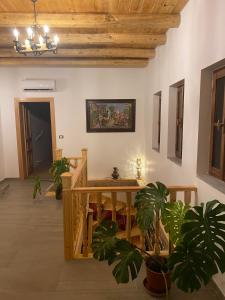 パーメットにあるHotel Kaso Erveheのリビングルーム(テーブル、鉢植えの植物付)