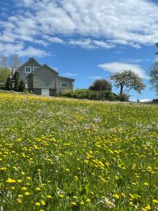 a field of flowers in front of a house at Secluded Holiday Home, With private beach in Ålesund