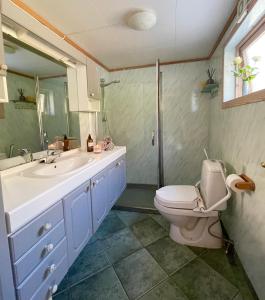 a bathroom with a toilet and a sink at Secluded Holiday Home, With private beach in Ålesund