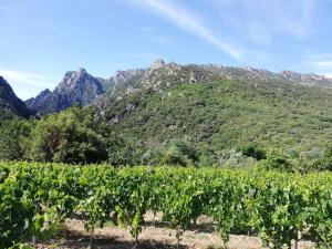 Fotografia z galérie ubytovania Ruime vakantiewoning gelegen aan Gorges d'Heric v destinácii Mons