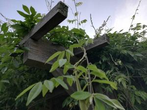 Fotografia z galérie ubytovania Ruime vakantiewoning gelegen aan Gorges d'Heric v destinácii Mons