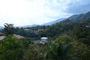 uma vista para um vale com montanhas e árvores em Bharat Resorts em Dehradun mais 15 fotografias