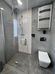 a bathroom with a glass shower and a toilet at Apartament Olivia Business Suite in Gdańsk