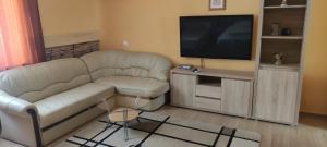 Krisztina Apartman في نايغكانيشا: غرفة معيشة مع أريكة وتلفزيون بشاشة مسطحة