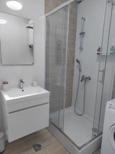 een witte badkamer met een douche en een wastafel bij Villa Prisca in Nedeščina