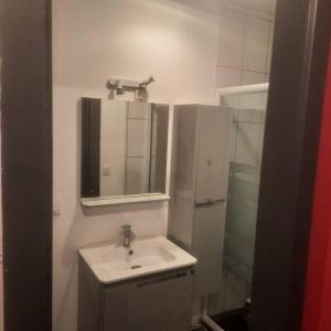 een badkamer met een wastafel, een spiegel en een douche bij F2 Mass & Bo in Thaon-les-Vosges