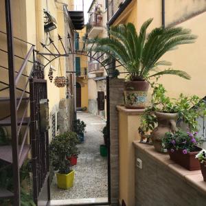 an alley with potted plants on the side of a building at L’elegante dépendance del Barone Francesco Sala in Agrigento