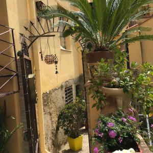 a courtyard with potted plants in a building at L’elegante dépendance del Barone Francesco Sala in Agrigento