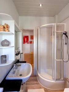uma casa de banho com um chuveiro e um lavatório. em Schöne Altbauwohnung mit großer Sonnenterrasse em Rudolstadt