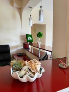 a bowl of shells on a table in an office at Vila Julia Costinesti in Costinesti