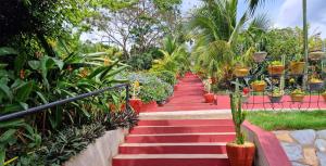 Fotografie z fotogalerie ubytování Cactus Creek Hotel v destinaci Aburi