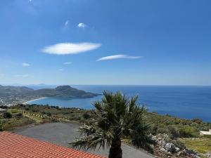a palm tree in front of a view of the ocean at Seaview Villa Liandroy in Sellía
