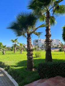 Garden sa labas ng Playa del Pasha