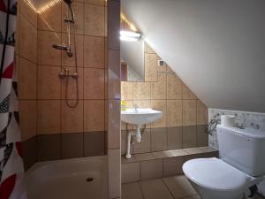 a bathroom with a toilet and a sink and a shower at Zubrowa Ostoja 