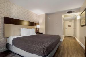 Gallery image of Best Western Plus St. Christopher Hotel in New Orleans