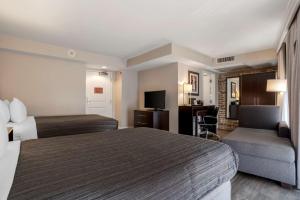 Best Western Plus St. Christopher Hotel في نيو أورلينز: غرفة فندقية بسريرين واريكة