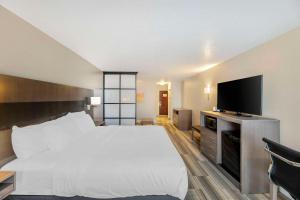 TV a/nebo společenská místnost v ubytování Comfort Inn & Suites