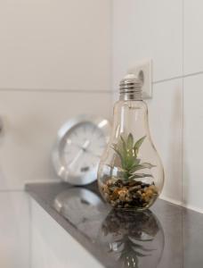 une bouteille de verre avec une plante sur une table avec une horloge dans l'établissement Apartment / Ferienwohnungen Christ, à Rothenburg ob der Tauber