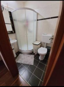 a bathroom with a toilet and a sink at Apartament in Timisoara in Timişoara