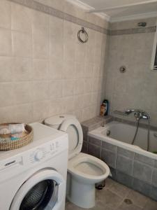 a bathroom with a toilet and a washing machine at Διαμέρισμα Παραλία Μενιδίου in Menídion
