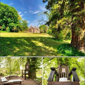 dwa zdjęcia parku z drzewem i placem zabaw w obiekcie Easter and Christmas House Borders w mieście Hawick