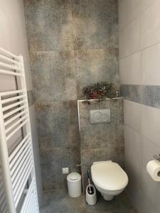 ein kleines Bad mit WC in einem Zimmer in der Unterkunft Apartmány pri Zvonici in Oravský Podzámok