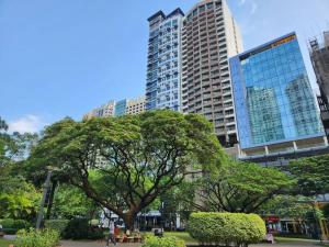 um parque com uma árvore e edifícios altos em Nice and Cozy Studio near Greenbelt Makati with Balcony em Manila