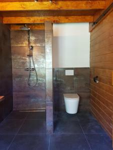 ein Bad mit einer Dusche und einem WC in der Unterkunft Romantisch Huisje nabij het strand in Julianadorp