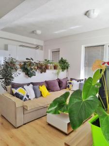 un salon avec un canapé et beaucoup de plantes dans l'établissement Makach Apartments, à Ohrid