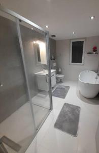 a bathroom with a shower and a sink and a toilet at Jan-Air in Ilinden
