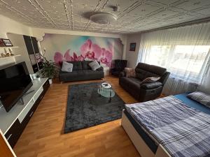 TV a/nebo společenská místnost v ubytování Ferien- und Monteurwohnung Julia