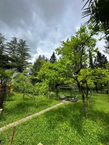 einen grünen Garten mit einem Picknicktisch und Bäumen in der Unterkunft Imeri Park Hotel in Kutaissi