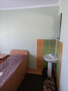 Готель Поділля في Shestakovka: حمام صغير مع سرير ومغسلة