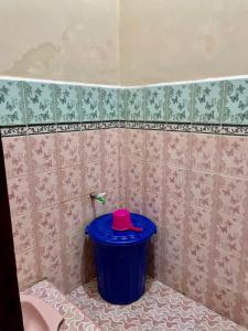 a bathroom with a blue trash can with a red lid at Elnara in Mandati