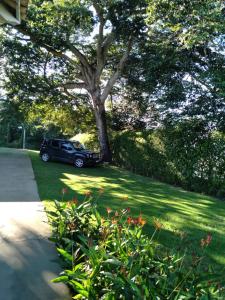 un coche aparcado en un patio junto a un árbol en Hospedagem Casa Branca Localizada em um bairro nobre de Capitólio, Escarpas do Lago, en Capitólio