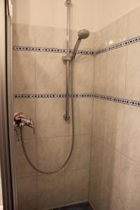 e bagno con doccia e soffione. di FeWo Morgensonne im Ferienresort mit Pool a Schluchsee