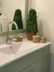 a bathroom sink with two potted plants and a mirror at Daniel Beachfront in Herzliya B
