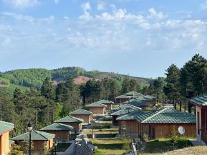 eine Reihe von Häusern mit grünen Dächern auf einem Hügel in der Unterkunft May Villas in Altınordu