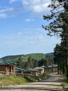 una fila de casas en un camino con árboles en May Villas en Ordu