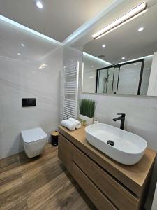 a bathroom with a large white sink and a toilet at Modern Garden View Apt in Voula, Athens - Luxe in Athens