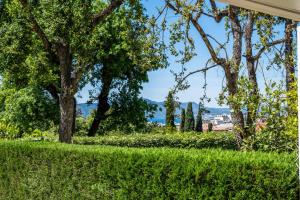widok na park z drzewami i trawą w obiekcie Garden-Level Apartment Pool & Sea View w Cannes