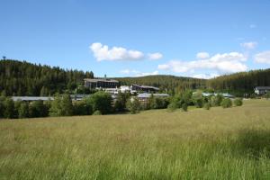 a large field of grass with a building in the background at Ferienresort mit Pool am Schluchsee in Schluchsee