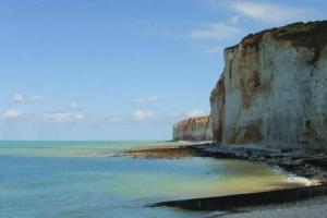 klif nad oceanem z ptakami na brzegu w obiekcie Nid douillet pour 2.. à 50 mètres de la plage w mieście Mers-les-Bains +5 zdjęć