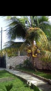 a palm tree standing next to a stone wall at Vicky Appartements Palmengarten Douala Maképè Belavie in Douala