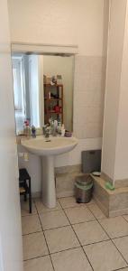 La salle de bains est pourvue d'un lavabo et d'un miroir. dans l'établissement Tréfilerie, à Saint-Étienne