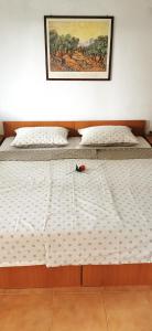 Lova arba lovos apgyvendinimo įstaigoje Casa Lavanda - Karin Gornji