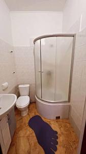 的住宿－Лісова Дача，带淋浴、卫生间和盥洗盆的浴室