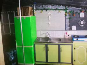 a kitchen with green cabinets and a sink at Green Door in Jeffreys Bay